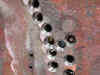 tapped.jpg (114468 bytes)